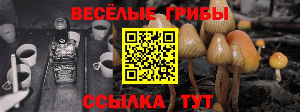 Галлюциногенные грибы Magic Shrooms Нефтеюганск
